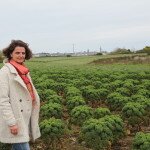 TKP-Legumes Project