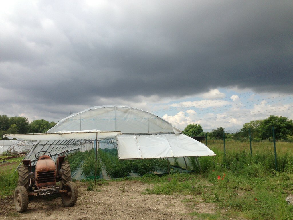 Lyon Kale Farm