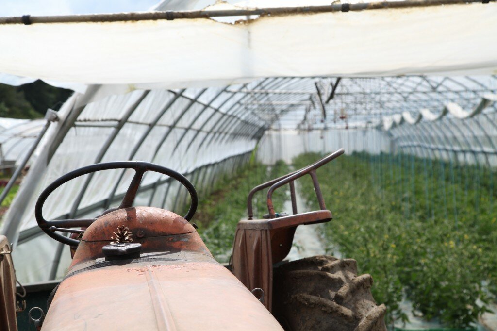Farm Visit Lyon