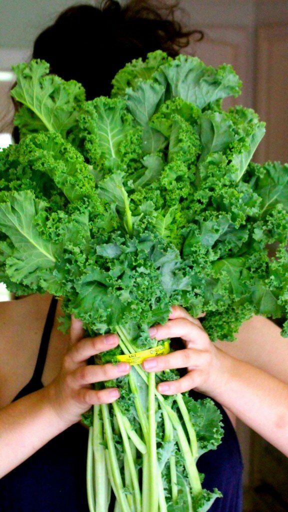 Kale Strawberry Infused Vodka