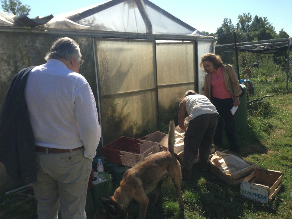 Elaine and Jean-Claude visit Madame Mustard's farm.