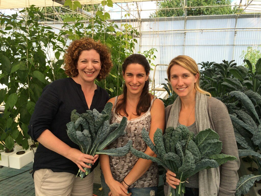 The Kale Project-les sourciers