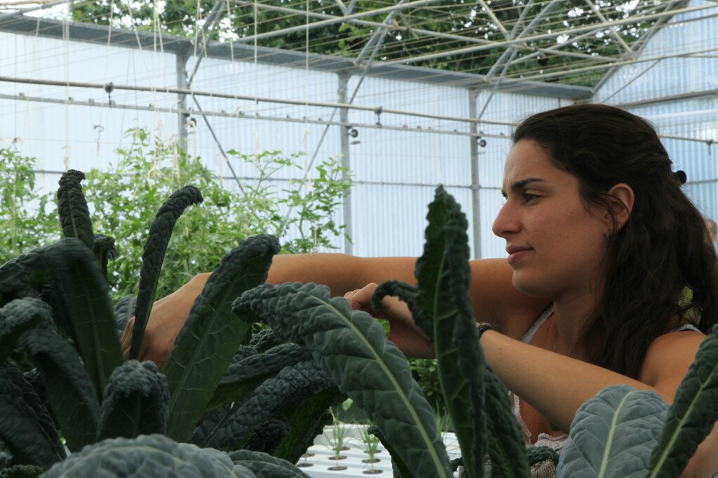The Kale Project_les sourciers