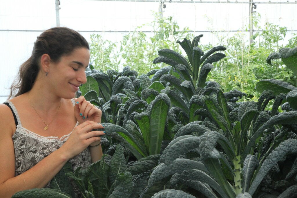 The Kale Project_les sourciers
