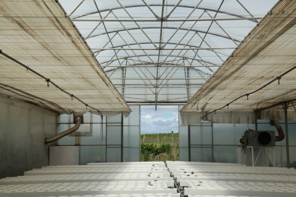 The Kale Project_Les Sourcier