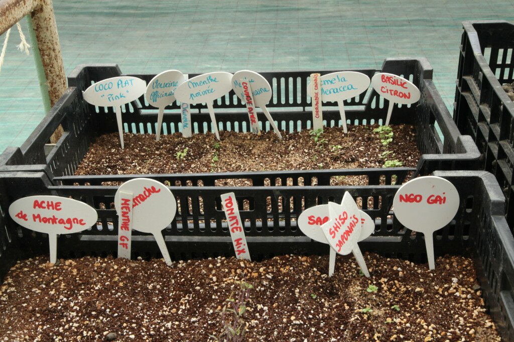 The Kale Project_Les Sourciers