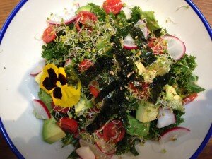 Teresa's Favorite Kale Salad