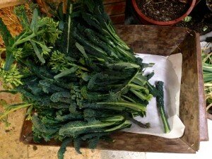 A basket of lacinto at The Green Farmers